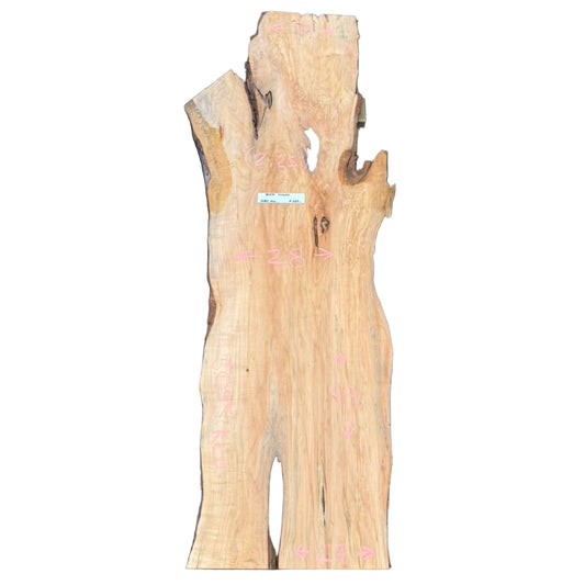 Black Willow Live Edge Slab S2S 5095.KLD