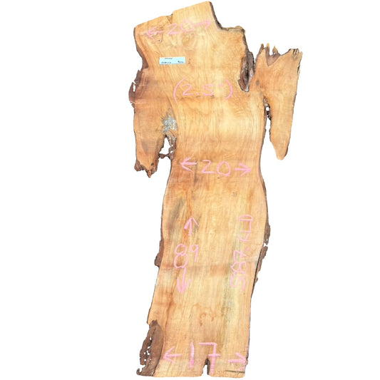 Black Willow Live Edge Slab 5087.KLD