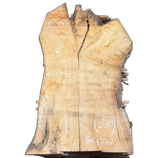 Black Willow Live Edge Slab 5055.KLD