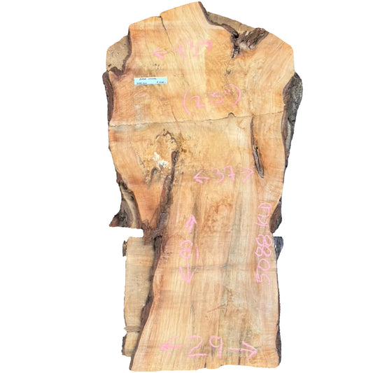 Black Willow Live Edge Slab 5088.KLD