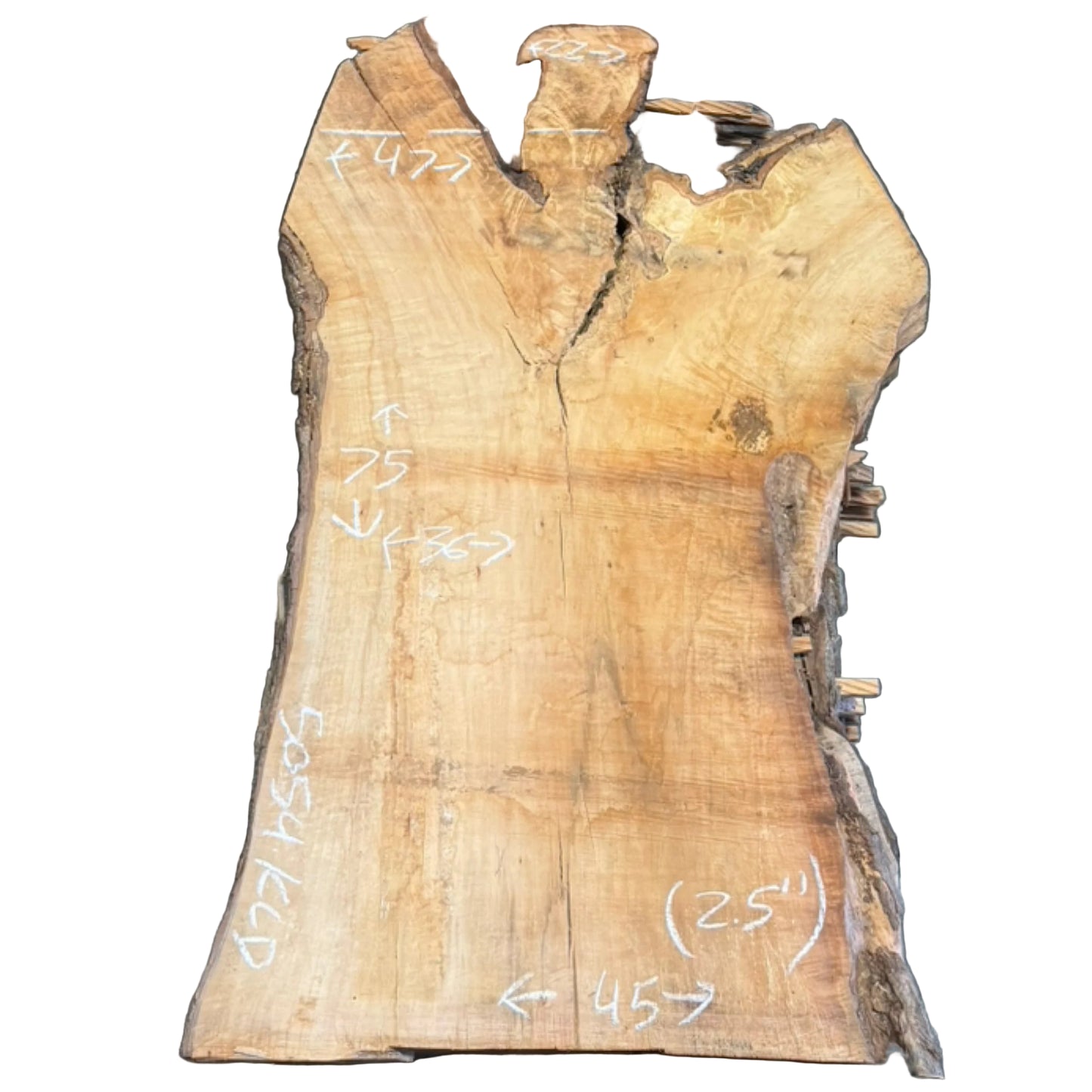 Black Willow Live Edge Slab 5054.KLD