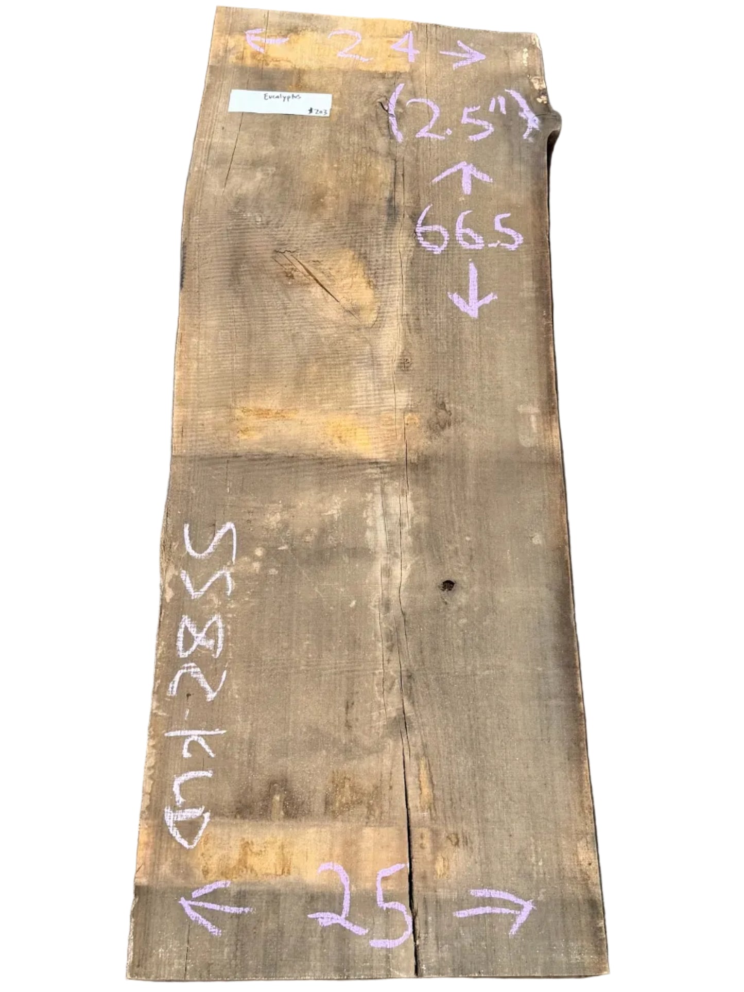 Blue Gum Eucalyptus Live Edge Slab 5582.KLD