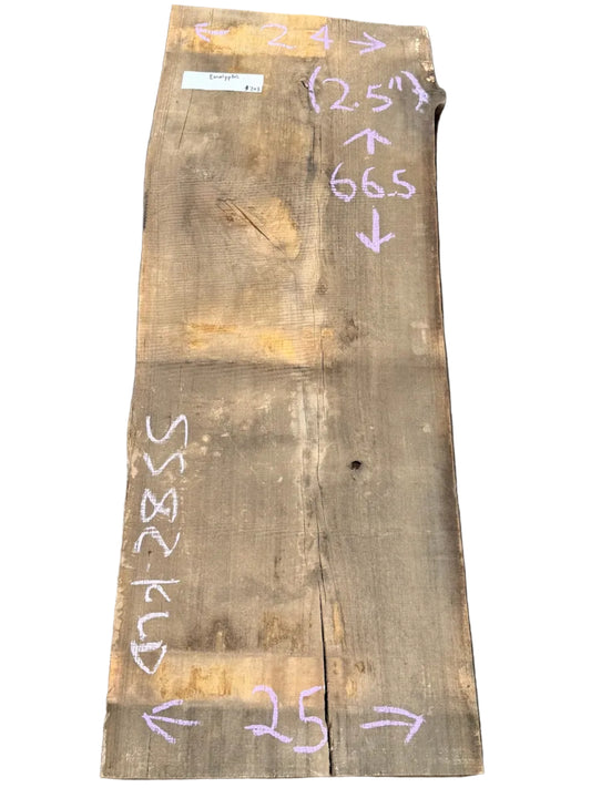 Blue Gum Eucalyptus Live Edge Slab 5582.KLD