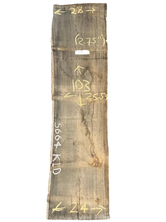 Blue Gum Eucalyptus Live Edge Slab 5664.KLD