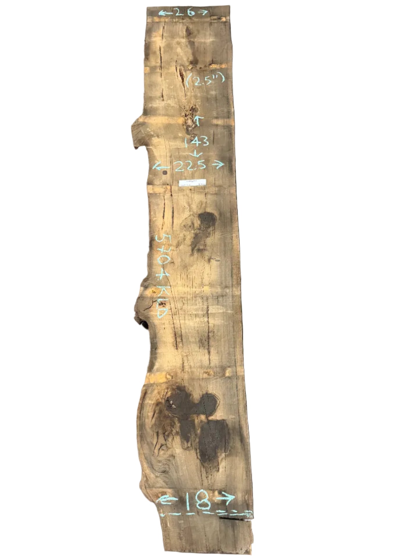 Blue Gum Eucalyptus Live Edge Slab 5704.KLD