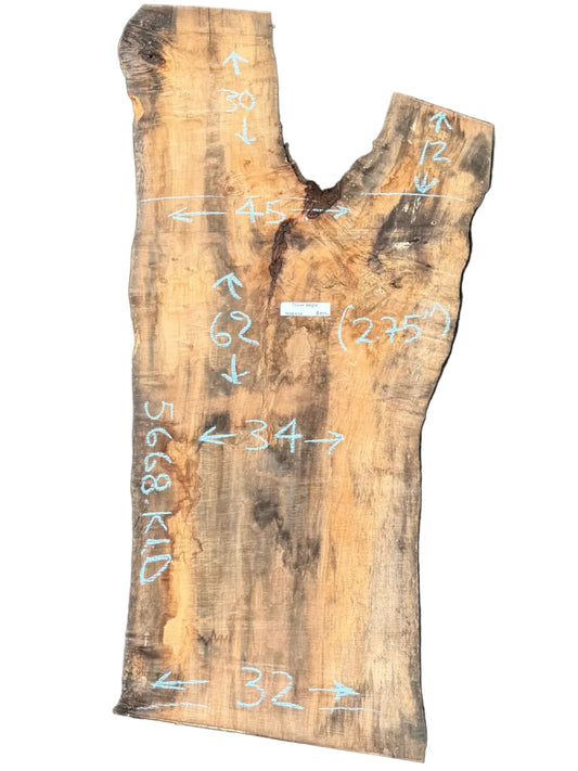 Silver Maple Live Edge Slab 5668.KLD