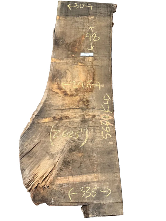 Blue Gum Eucalyptus Live Edge Slab 5670.KLD