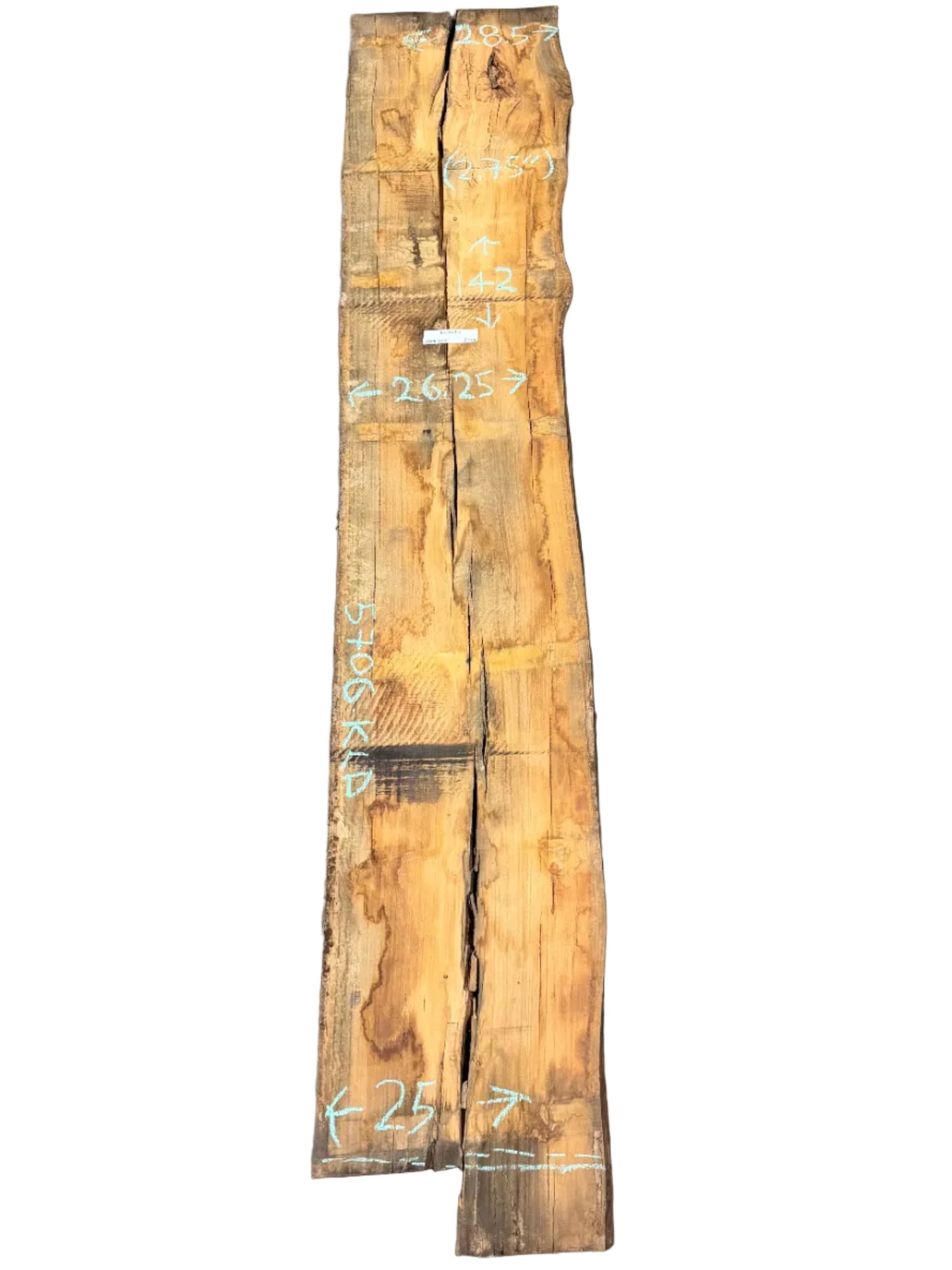 Blue Gum Eucalyptus Live Edge Slab 5706.KLD