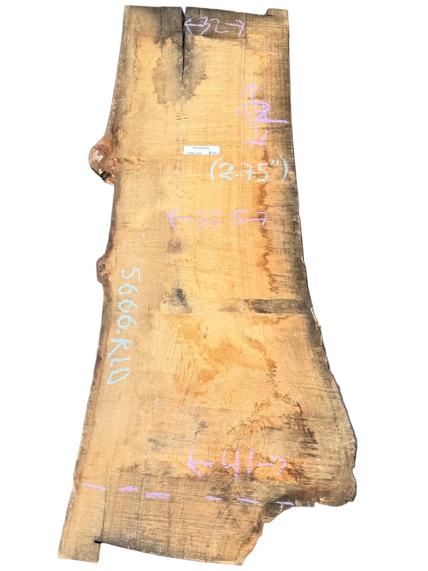 Blue Gum Eucalyptus Live Edge Slab 5666.KLD