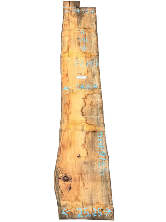 Blue Gum Eucalyptus Live Edge Slab 5716.KLD