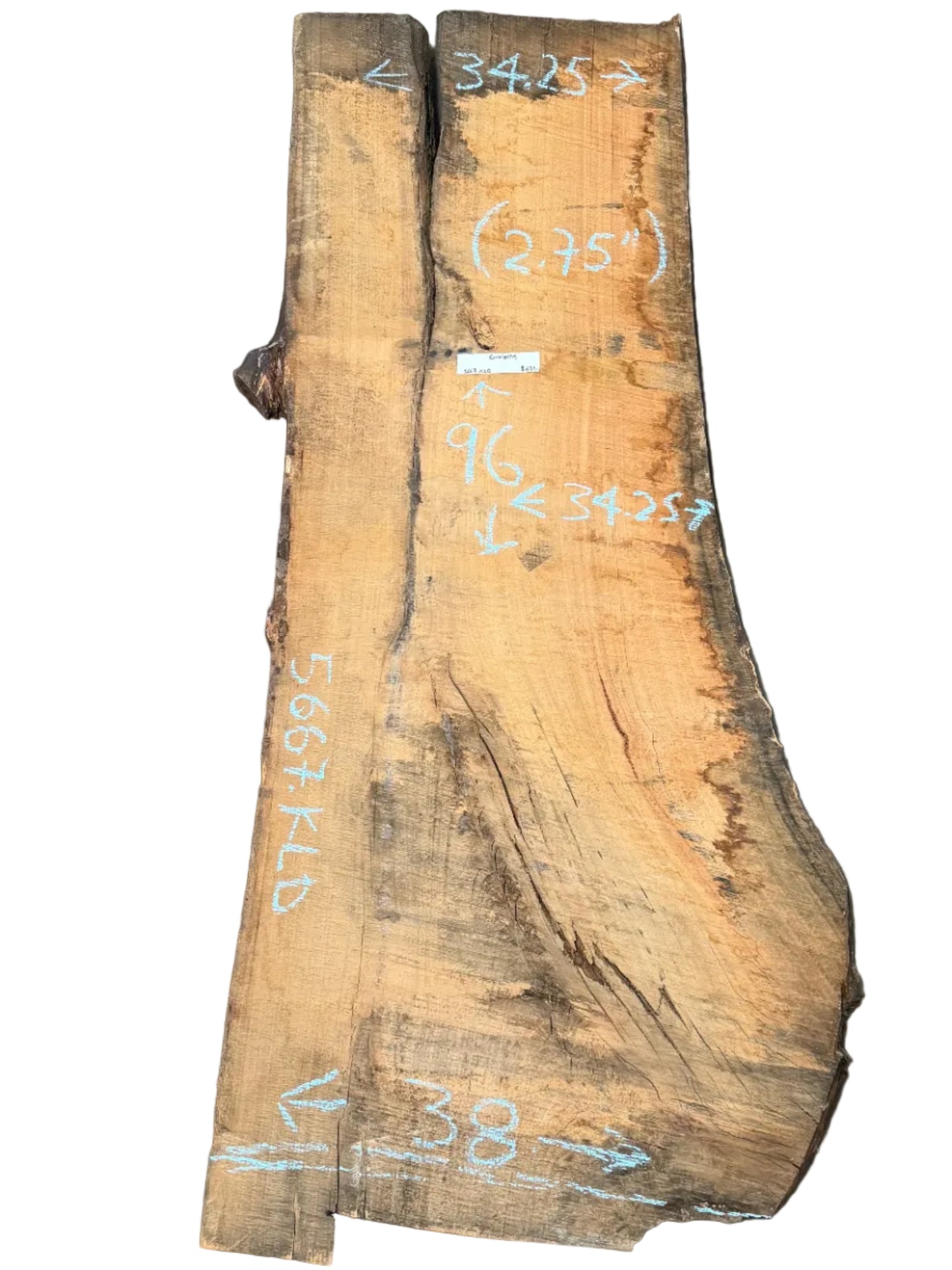 Blue Gum Eucalyptus Live Edge Slab 5667.KLD