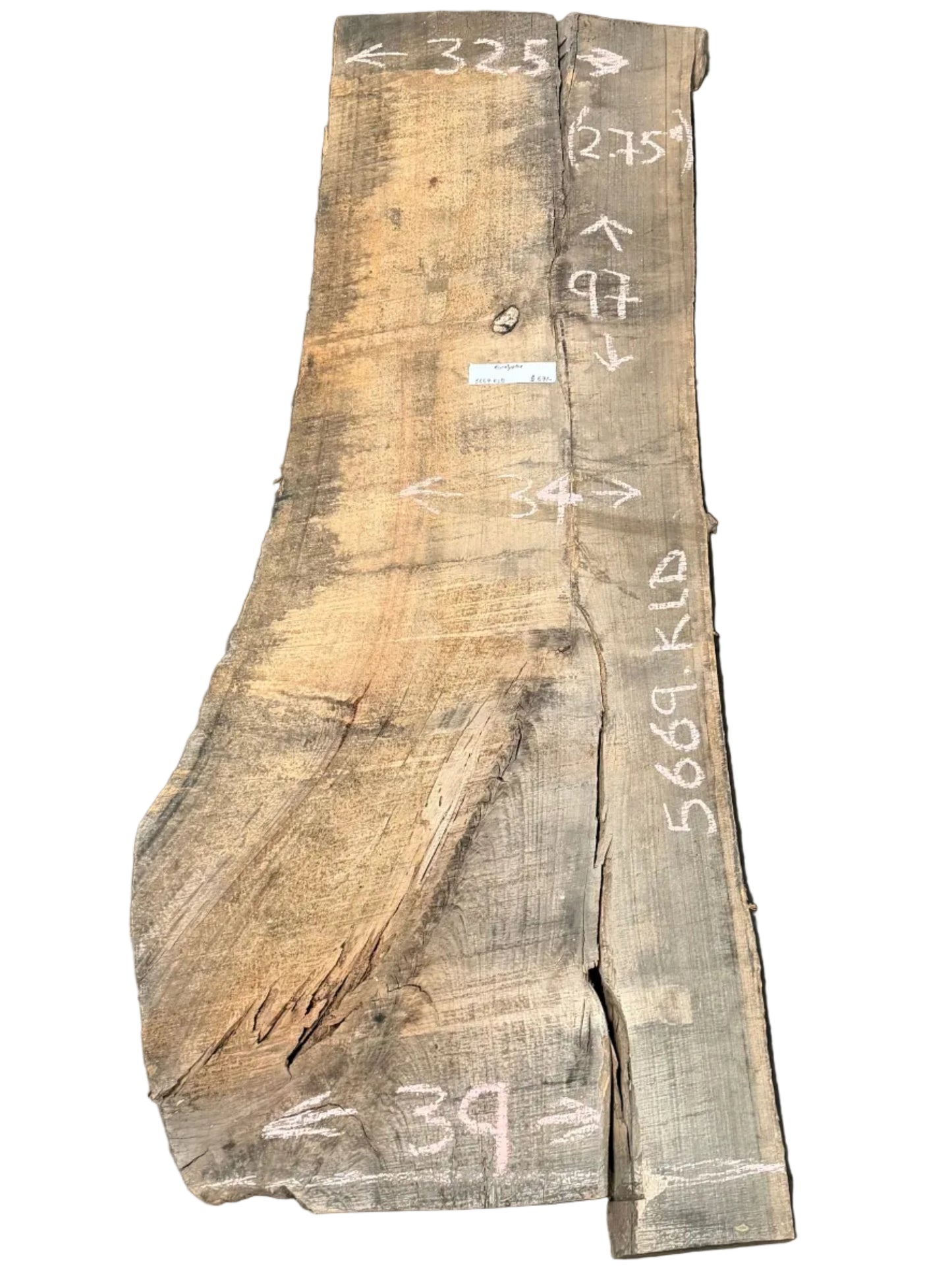 Blue Gum Eucalyptus Live Edge Slab 5669.ALD