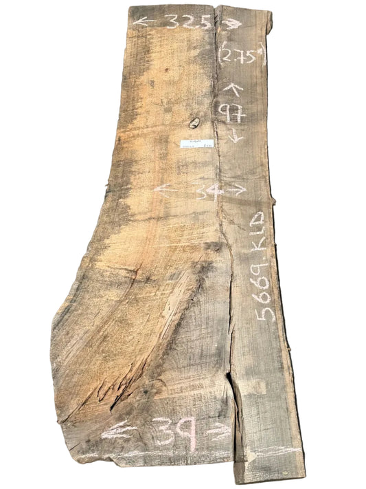 Blue Gum Eucalyptus Live Edge Slab 5669.ALD