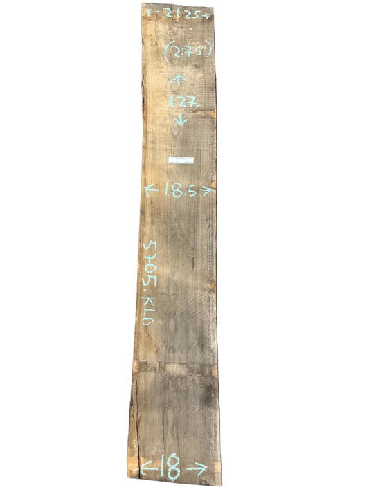 Blue Gum Eucalyptus Live Edge Slab 5705.KLD