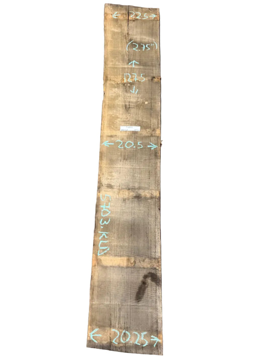 Blue Gum Eucalyptus Live Edge Slab 5703.KLD