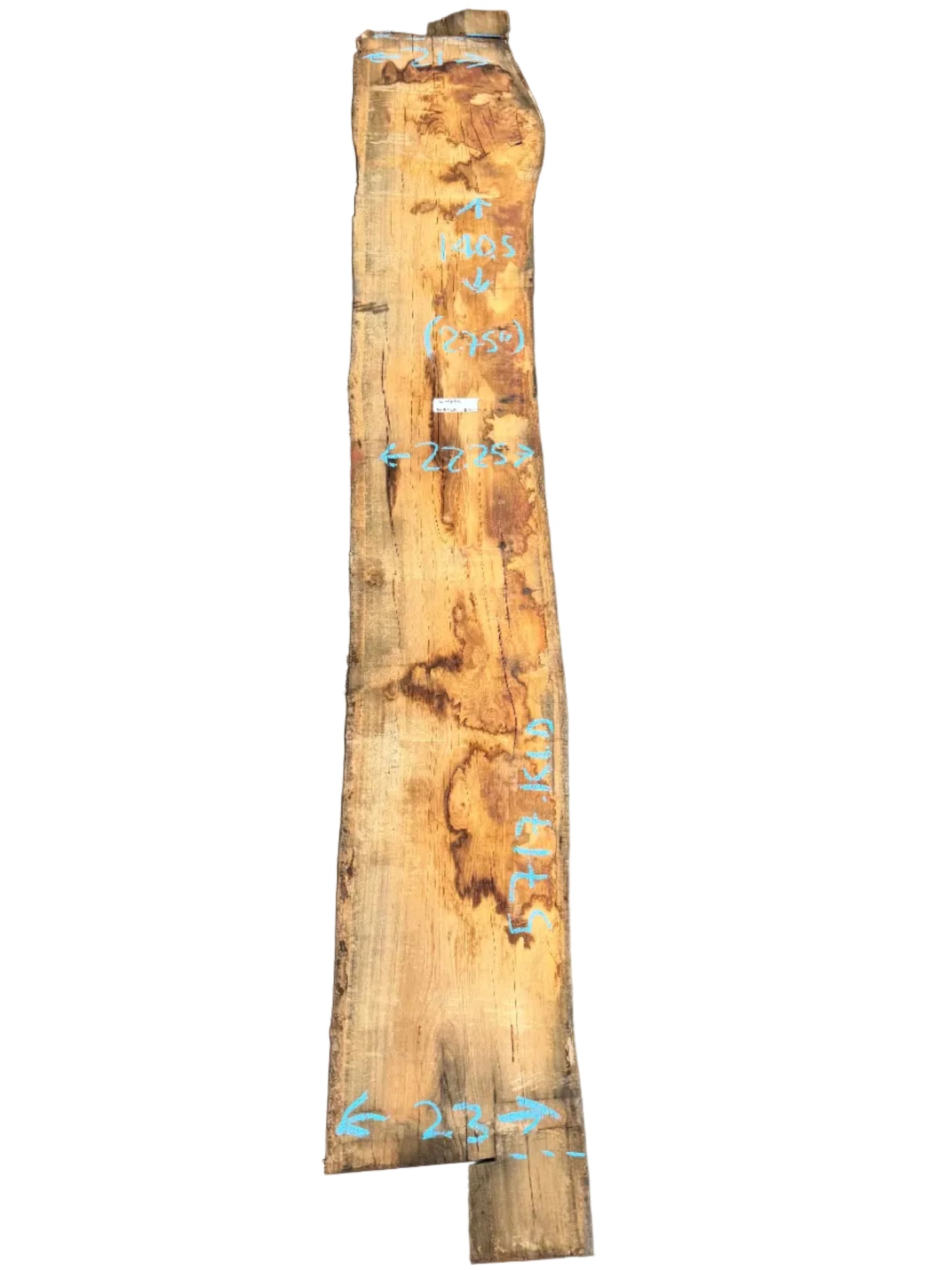 Blue Gum Eucalyptus Live Edge Wood Slab 5717.KLD