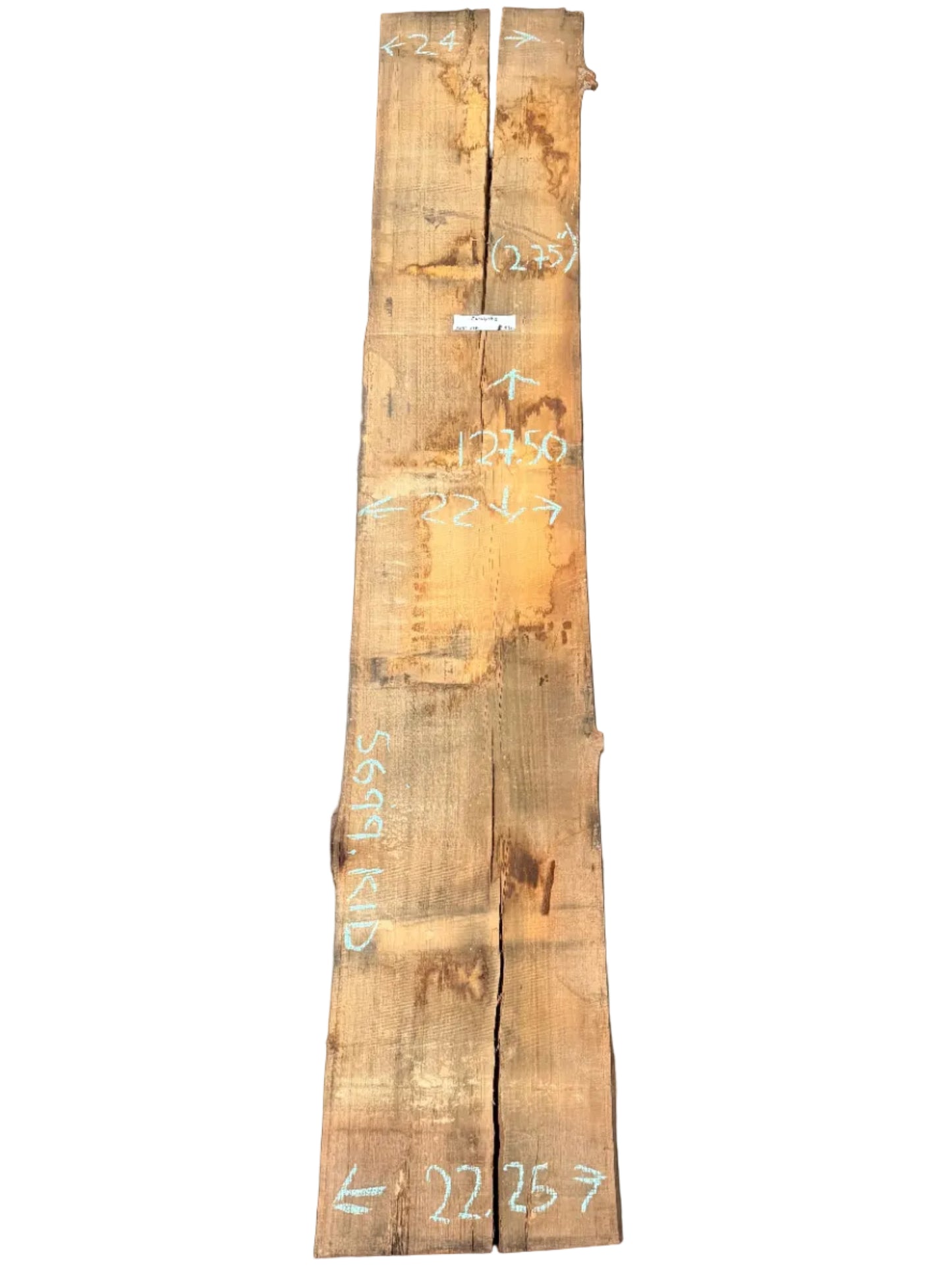 Blue Gum Eucalyptus Live Edge Slab 5699.KLD
