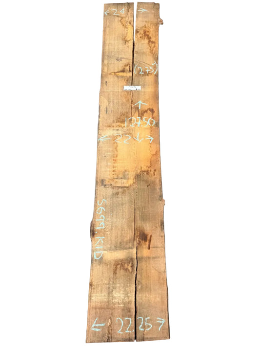 Blue Gum Eucalyptus Live Edge Slab 5699.KLD