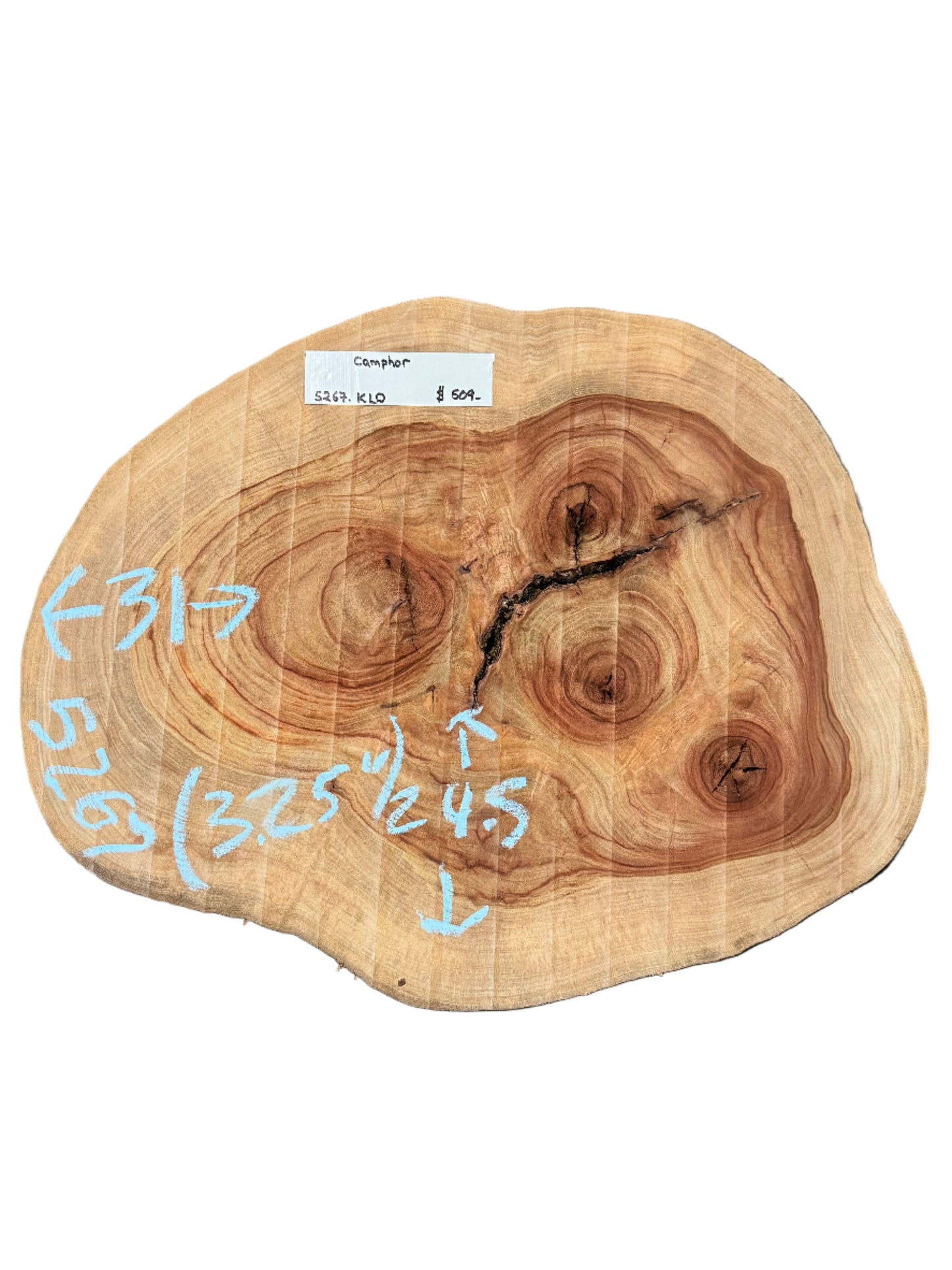 Camphor Cookie S2S 5267.KLD