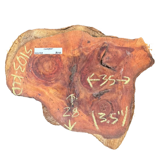 Camphor Cookie 5103.KLD