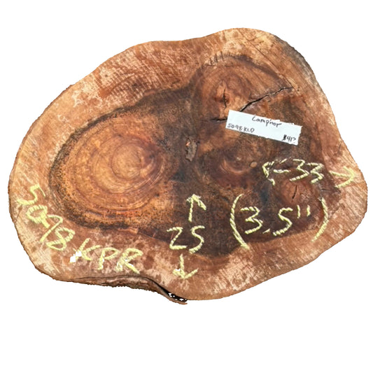 Camphor Cookie 5098.KLD