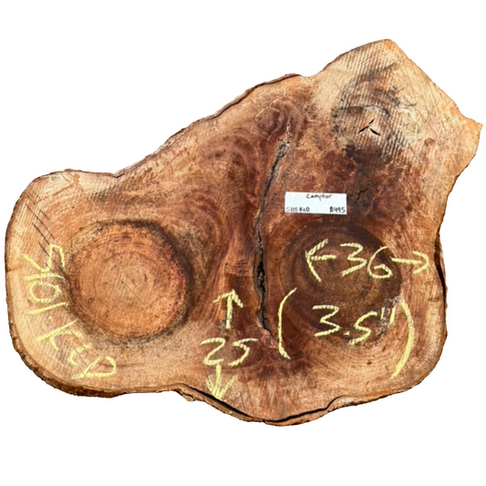 Camphor Cookie 5101.KLD