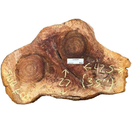 Camphor Cookie 5100.KLD