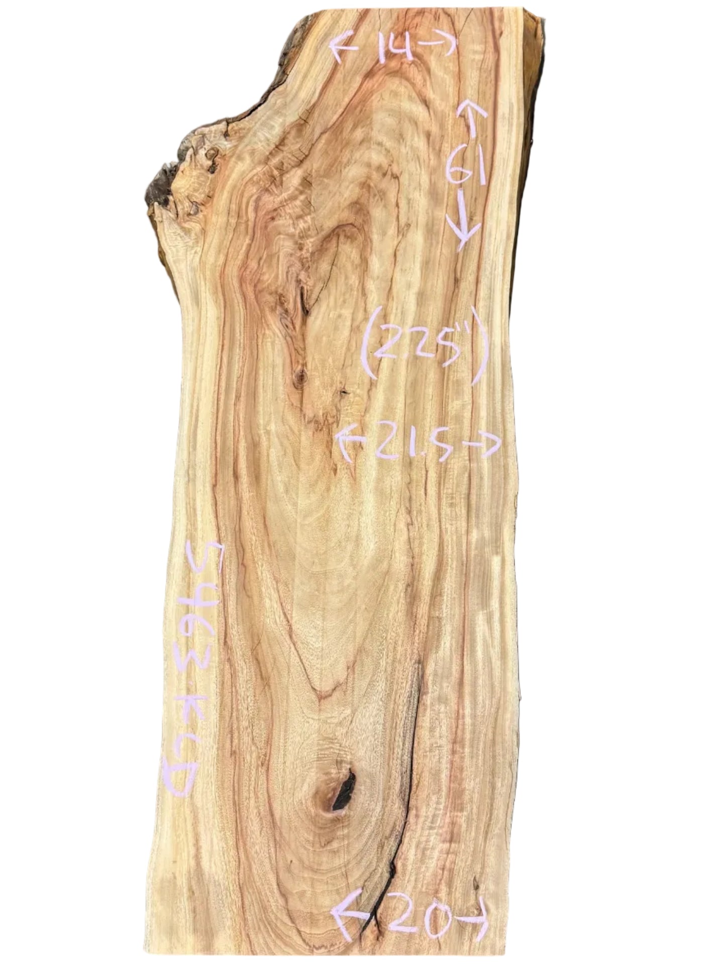 Camphor Live Edge Slab S2S 5463.KLD