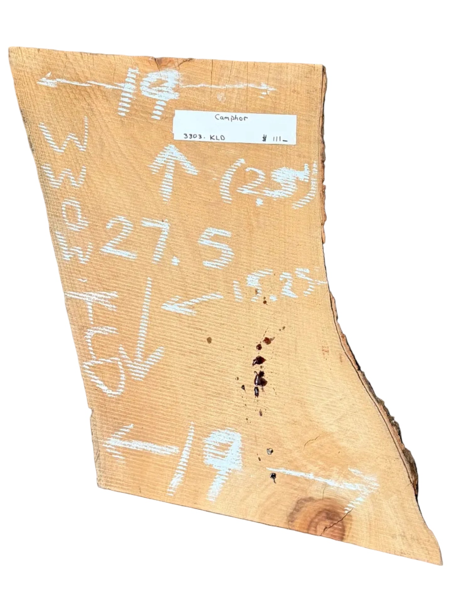 Camphor Live Edge Slab 3303.KLD