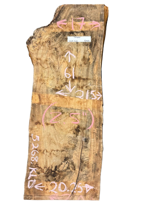 Camphor Live Edge Slab 5268.KLD