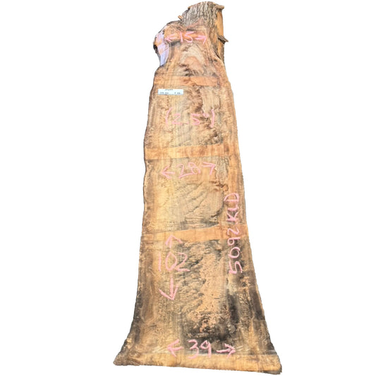 Camphor Live Edge Slab 5092.KLD