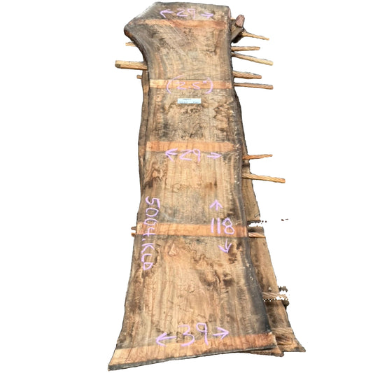 Camphor Live Edge Slab 5004.KLD