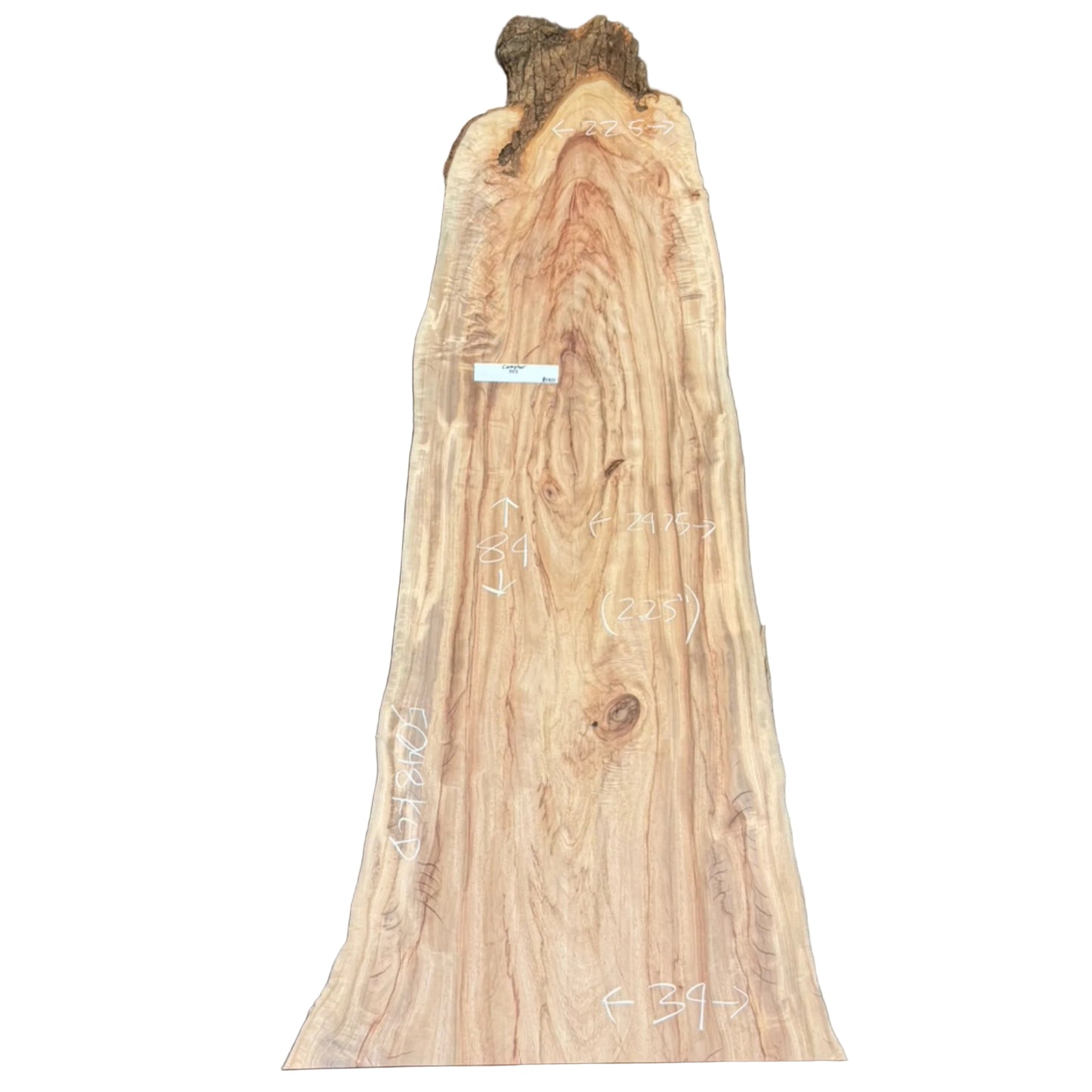 Camphor Live Edge Slab S2S 5048.KLD