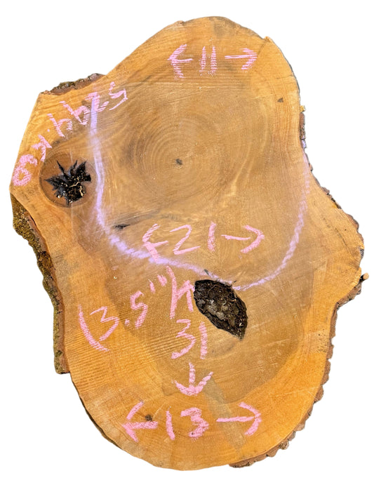 Bay Laurel Cookie 5294.KLD