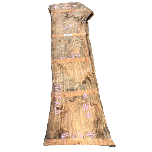 Camphor Live Edge Slab 5005.KLD