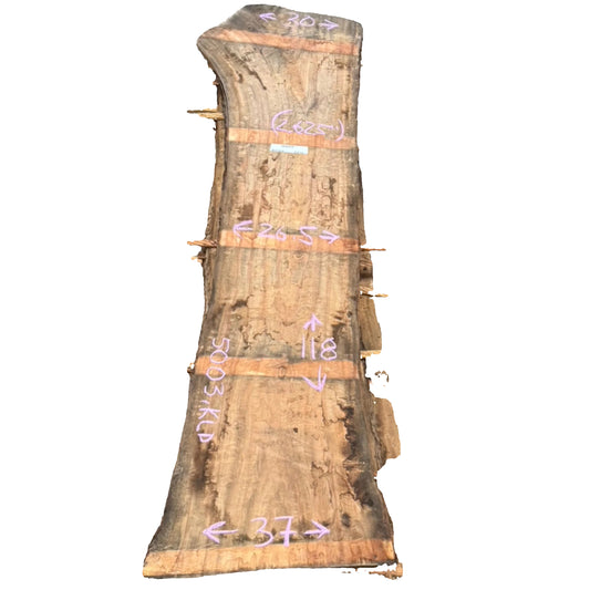 Camphor Live Edge Slab 5003.KLD