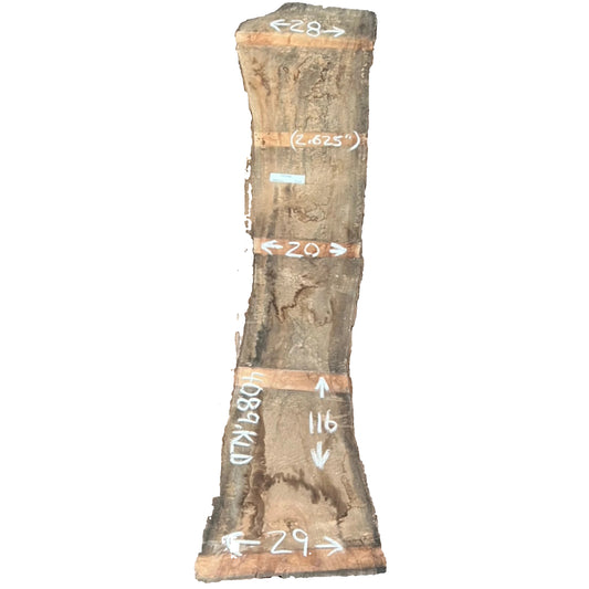 Camphor Live Edge Slab 4089.KLD