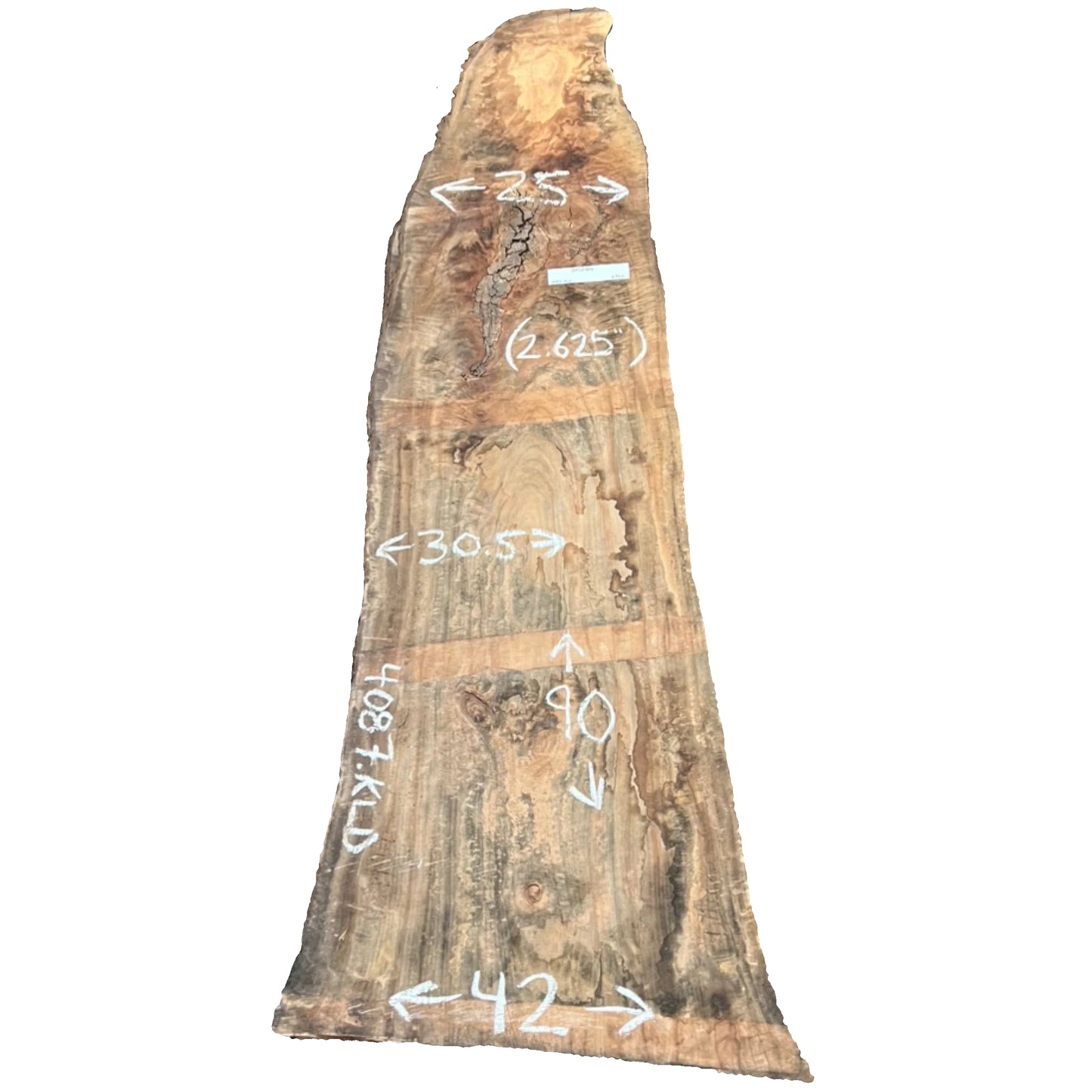 Camphor Live Edge Slab 4087.KLD