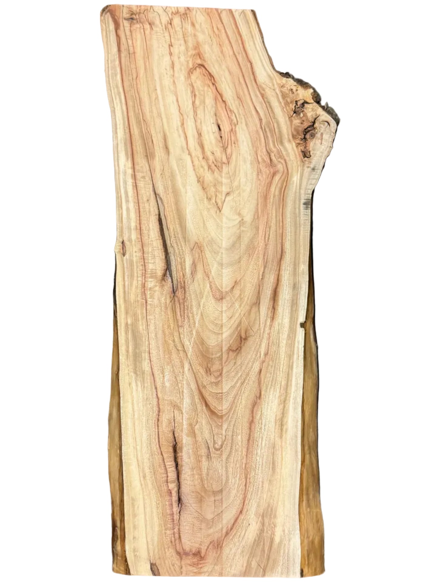 Camphor Live Edge Slab S2S 5463.KLD