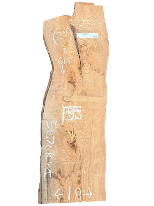 Catalpa Live Edge Slab 5671.KLD