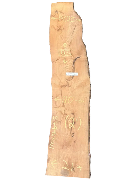 Catalpa Live Edge Slab 5746.KLD