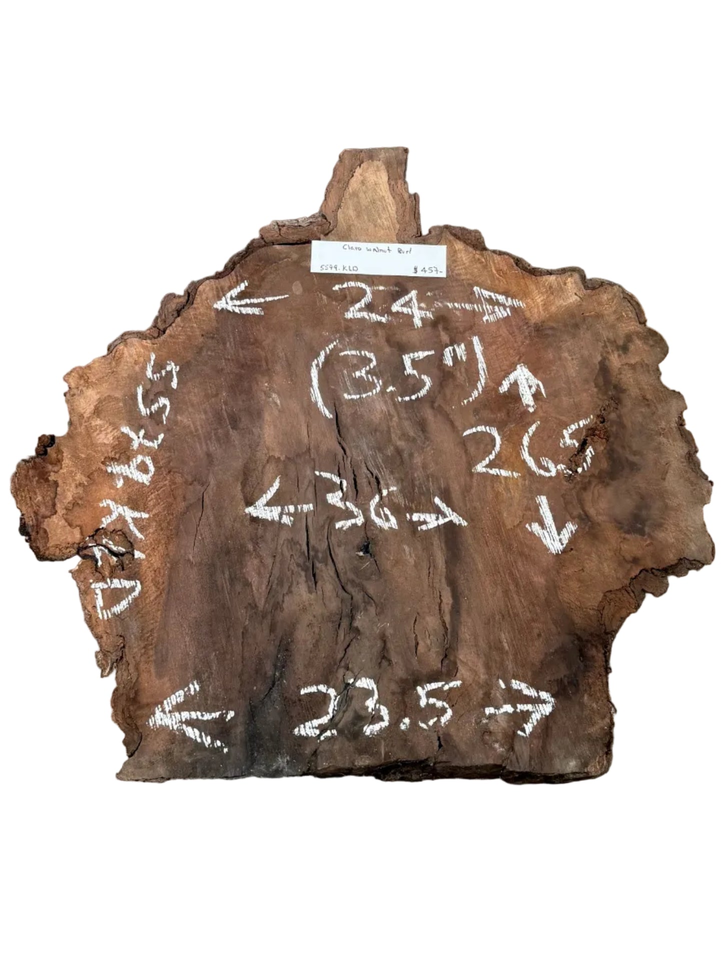 Claro Walnut Burl Cookie Live Edge Slab 5579.KLD