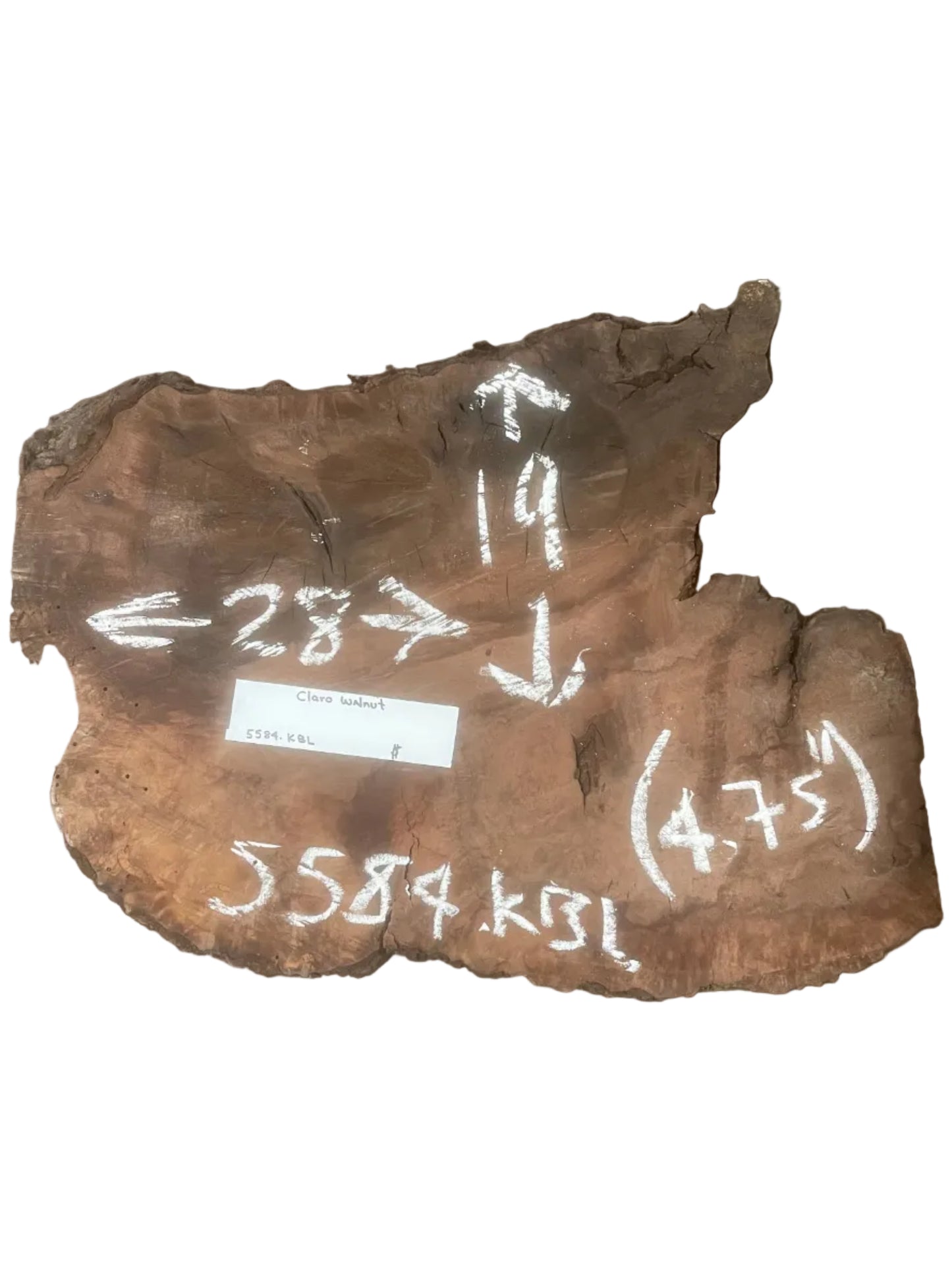 Claro Walnut Live Edge Slab 5584.KBL