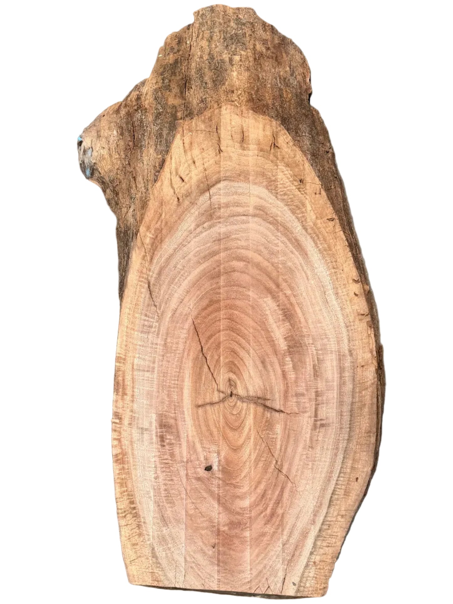 Claro Walnut Cookie S2S 5763.KBL