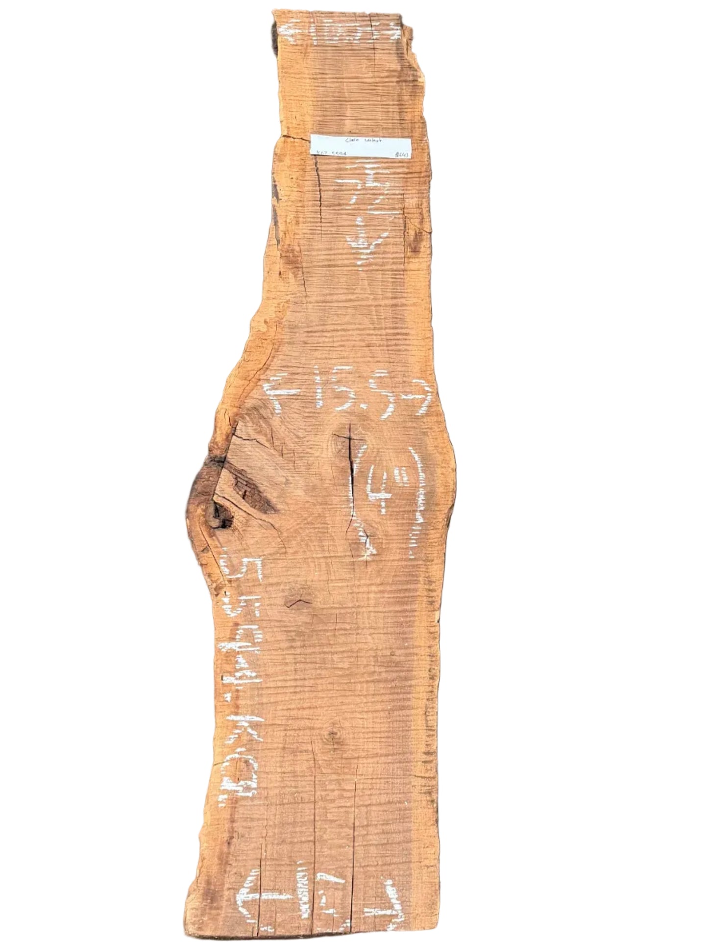 Claro Walnut Live Edge Slab 5594.CZR