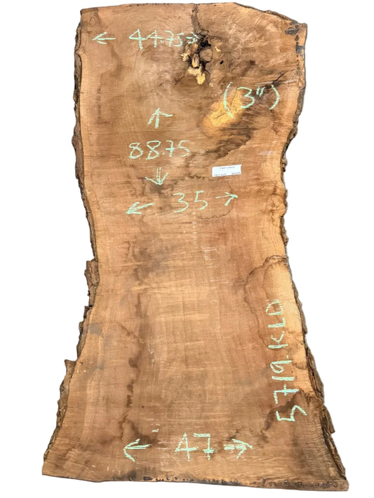 Claro Walnut Live Edge Slab 5719.KLD