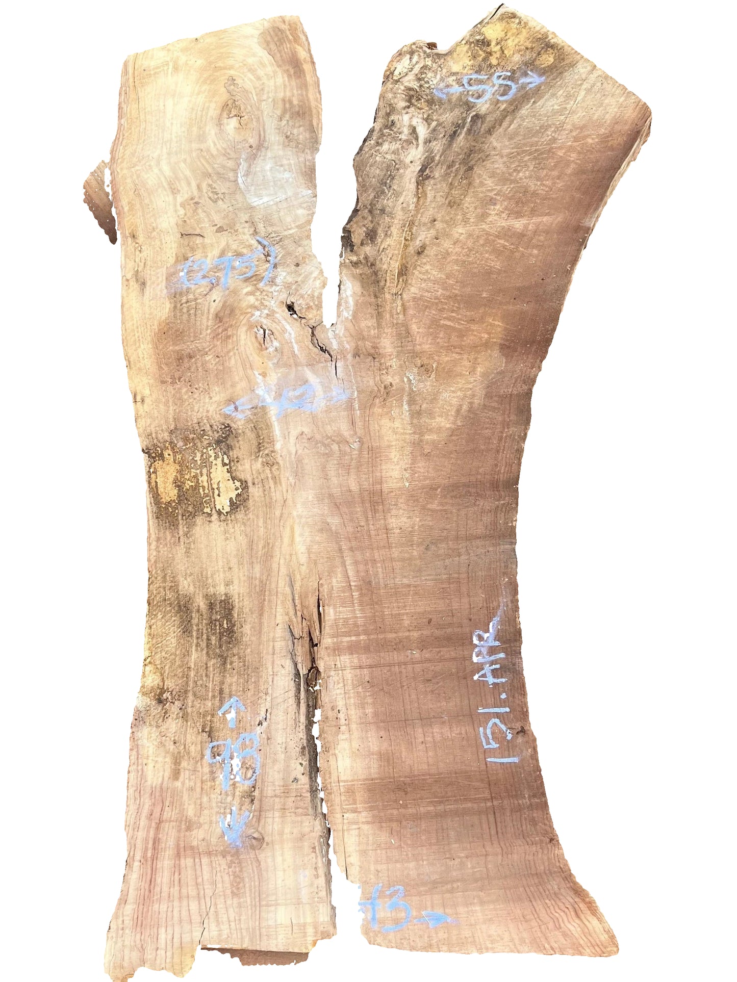 Cottonwood Live Edge Slab 151.APR