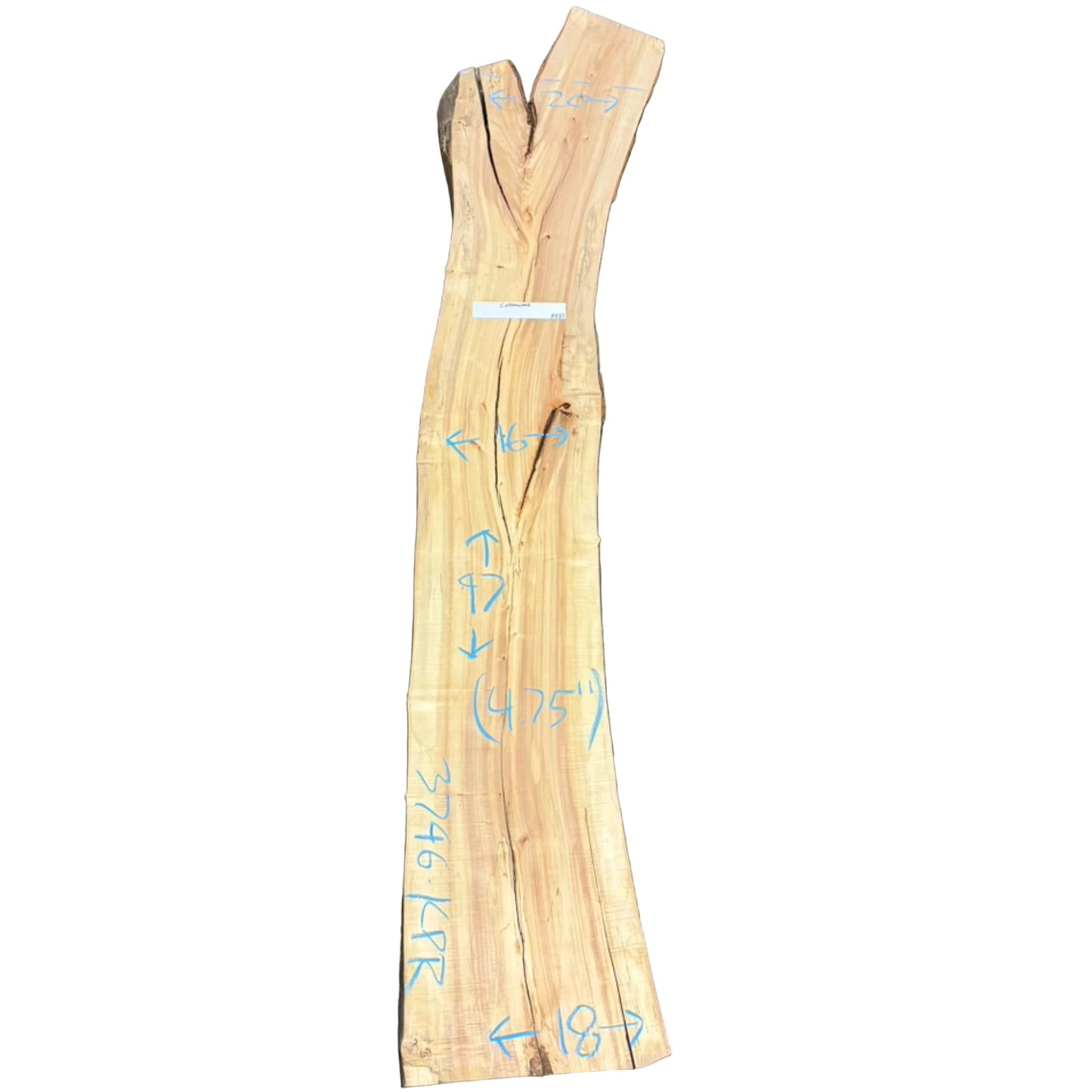 Cottonwood Live Edge Slab S2S 3796.KPR