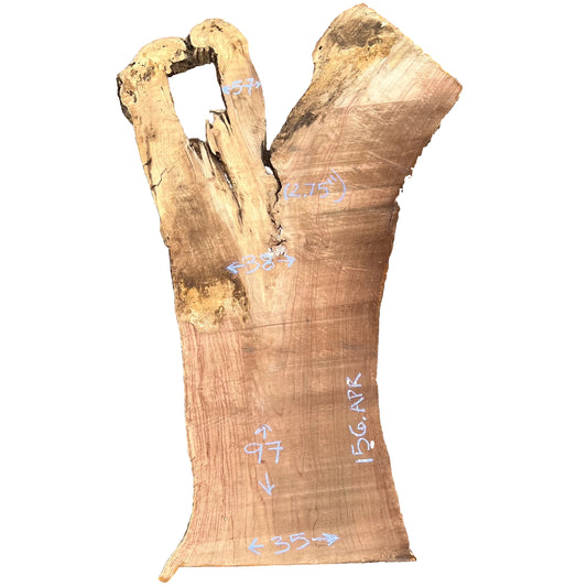 Cottonwood Live Edge Slab 156.APR