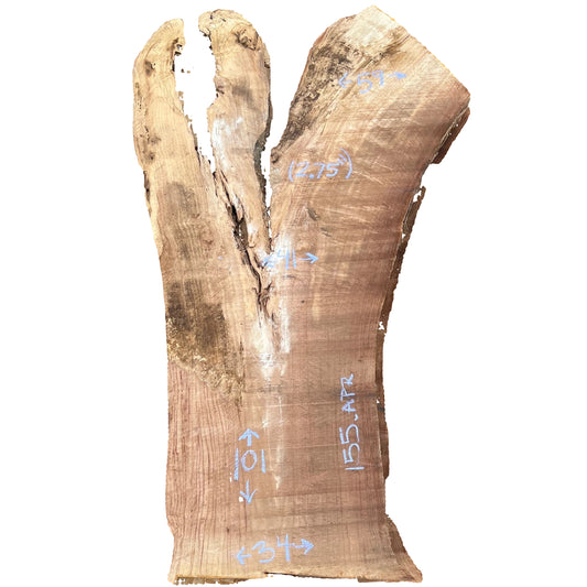 Cottonwood Live Edge Slab 155.APR
